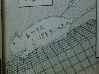 「絶対増えてるでしょ…」「子猫サイズになってる」 歌舞伎町の《大量ネズミ》 新宿区は1229万円かけて対策も…