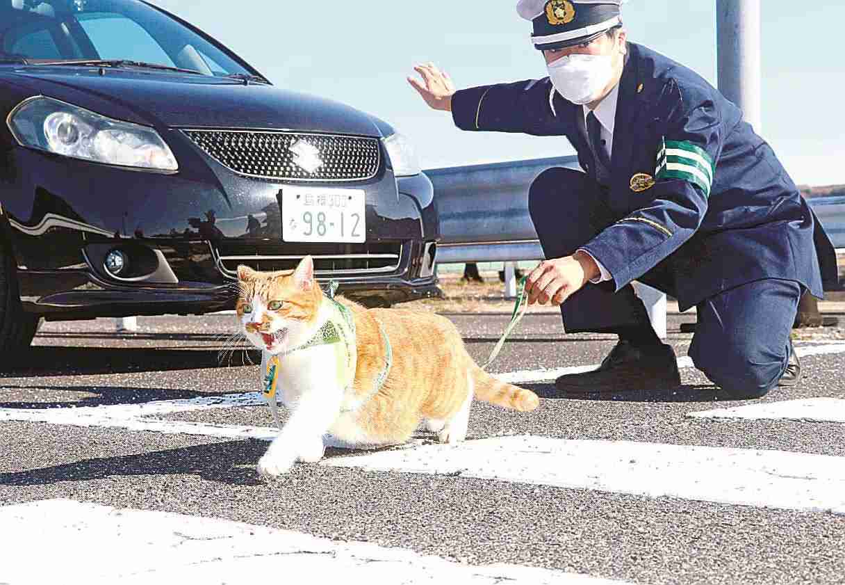 【スギちゃん雑談】過ごしやすい季節になってきたぜぇ 雑談するぜぇ【part112】