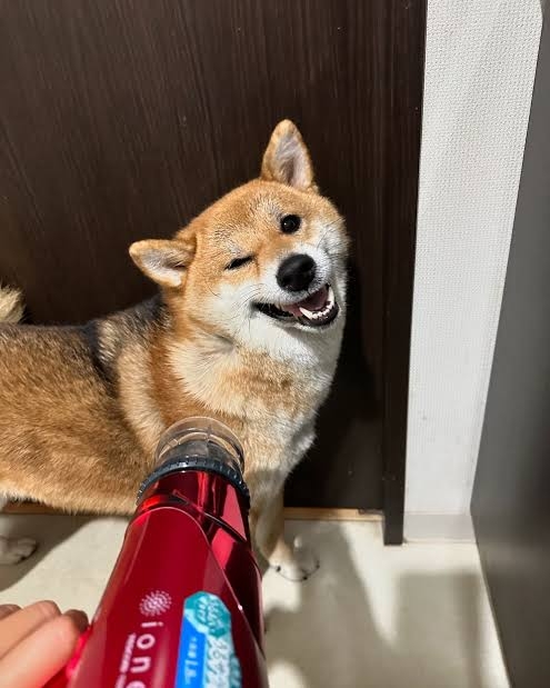 【スギちゃん雑談】過ごしやすい季節になってきたぜぇ 雑談するぜぇ【part112】