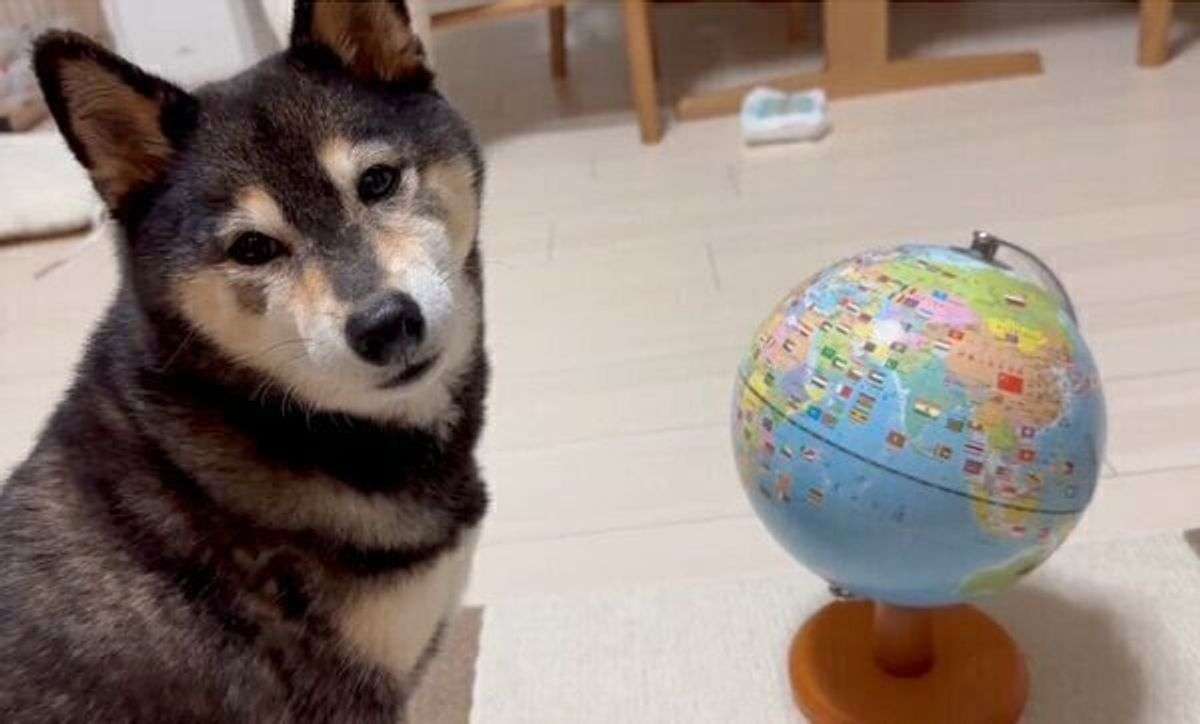 【スギちゃん雑談】過ごしやすい季節になってきたぜぇ 雑談するぜぇ【part112】