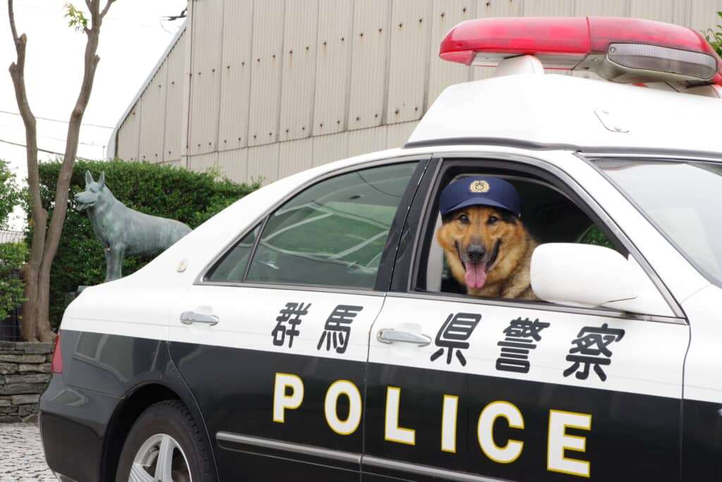 【スギちゃん雑談】過ごしやすい季節になってきたぜぇ 雑談するぜぇ【part112】