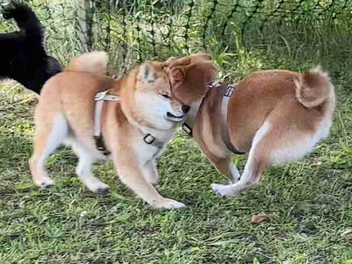 【スギちゃん雑談】過ごしやすい季節になってきたぜぇ 雑談するぜぇ【part112】