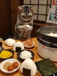 【スギちゃん雑談】過ごしやすい季節になってきたぜぇ 雑談するぜぇ【part112】