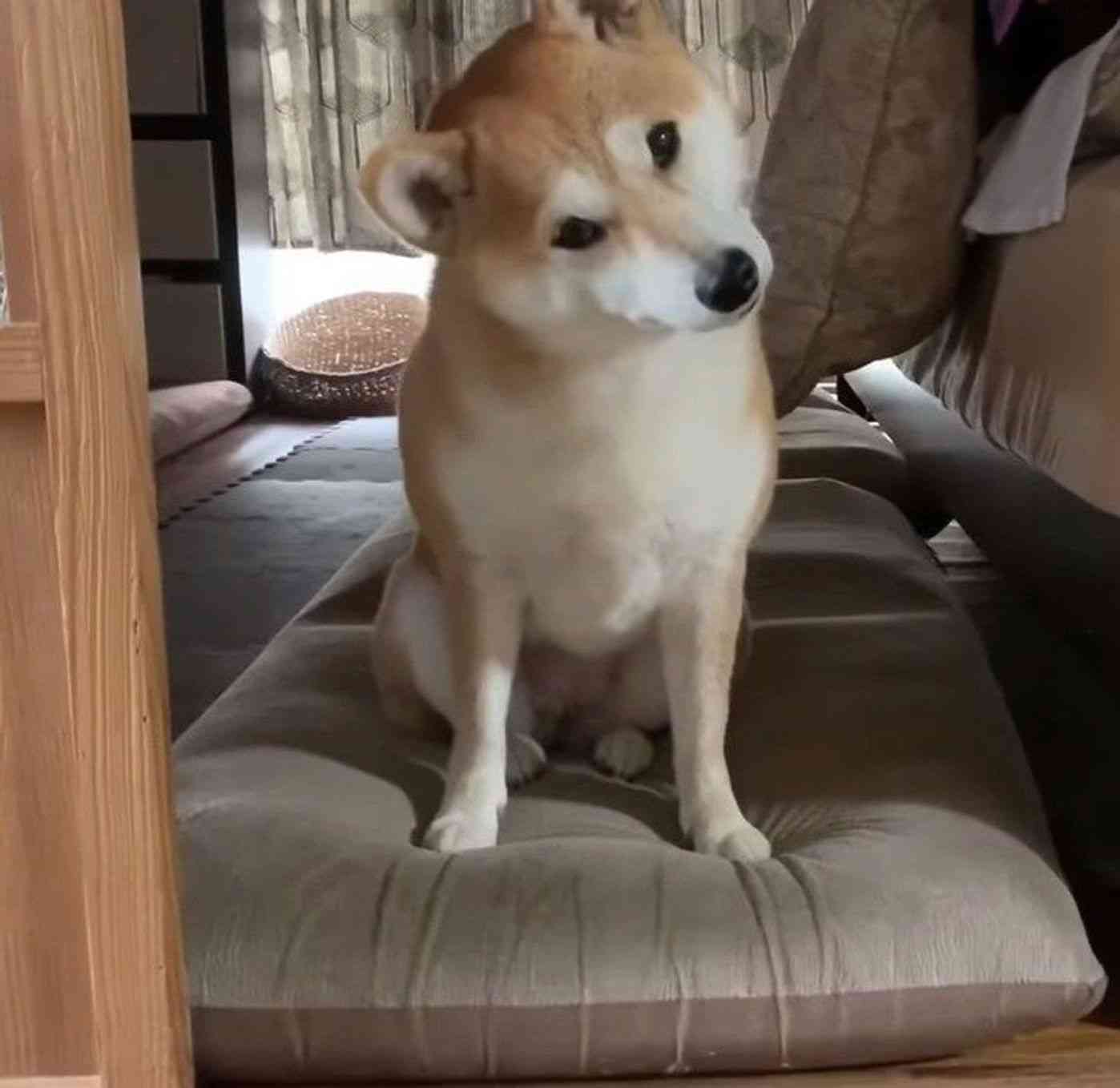 【スギちゃん雑談】過ごしやすい季節になってきたぜぇ 雑談するぜぇ【part112】