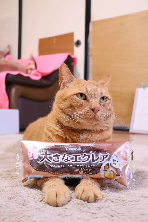 【スギちゃん雑談】過ごしやすい季節になってきたぜぇ 雑談するぜぇ【part112】