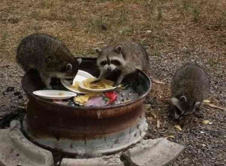 【スギちゃん雑談】過ごしやすい季節になってきたぜぇ 雑談するぜぇ【part112】