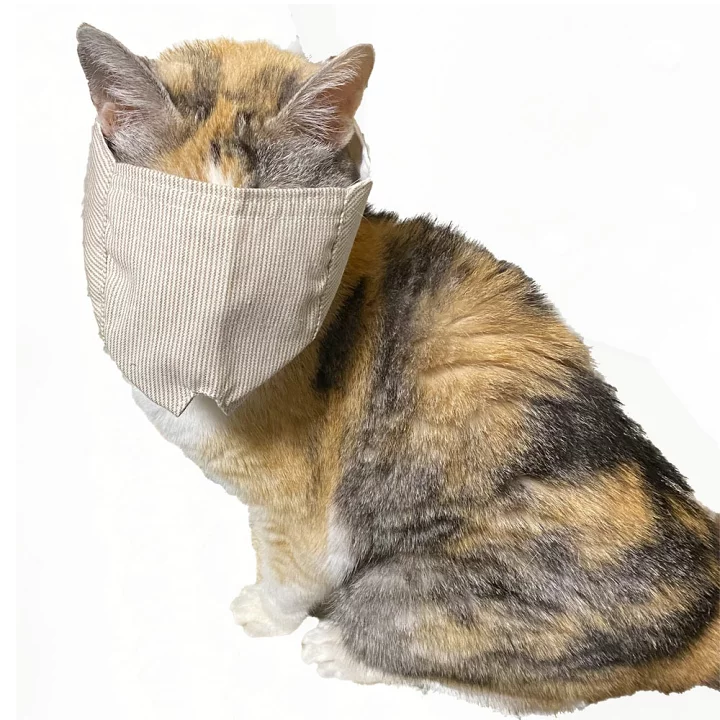 【スギちゃん雑談】過ごしやすい季節になってきたぜぇ 雑談するぜぇ【part112】