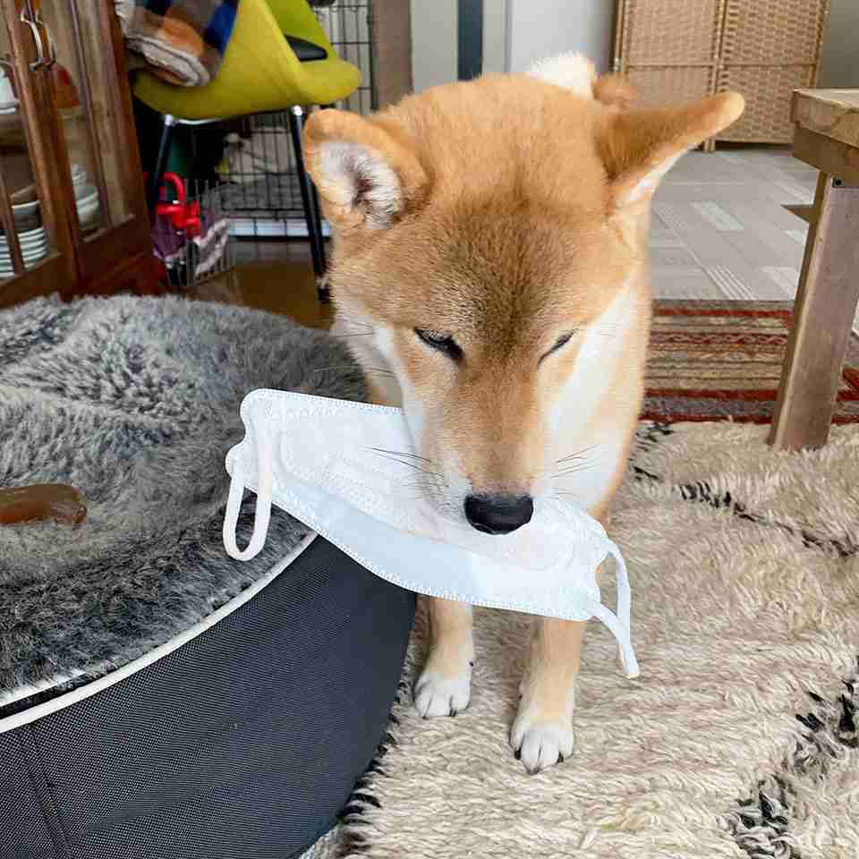 【スギちゃん雑談】過ごしやすい季節になってきたぜぇ 雑談するぜぇ【part112】