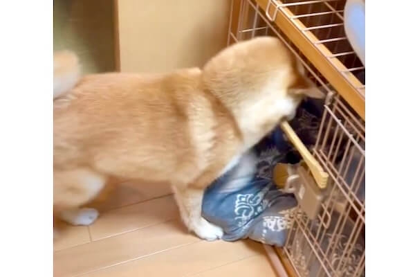 【スギちゃん雑談】過ごしやすい季節になってきたぜぇ 雑談するぜぇ【part112】