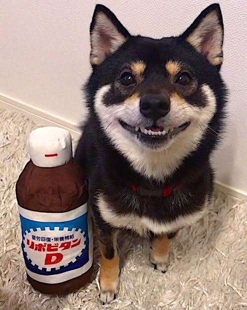 【スギちゃん雑談】過ごしやすい季節になってきたぜぇ 雑談するぜぇ【part112】