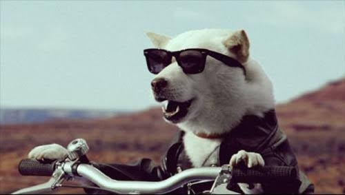 【スギちゃん雑談】過ごしやすい季節になってきたぜぇ 雑談するぜぇ【part112】