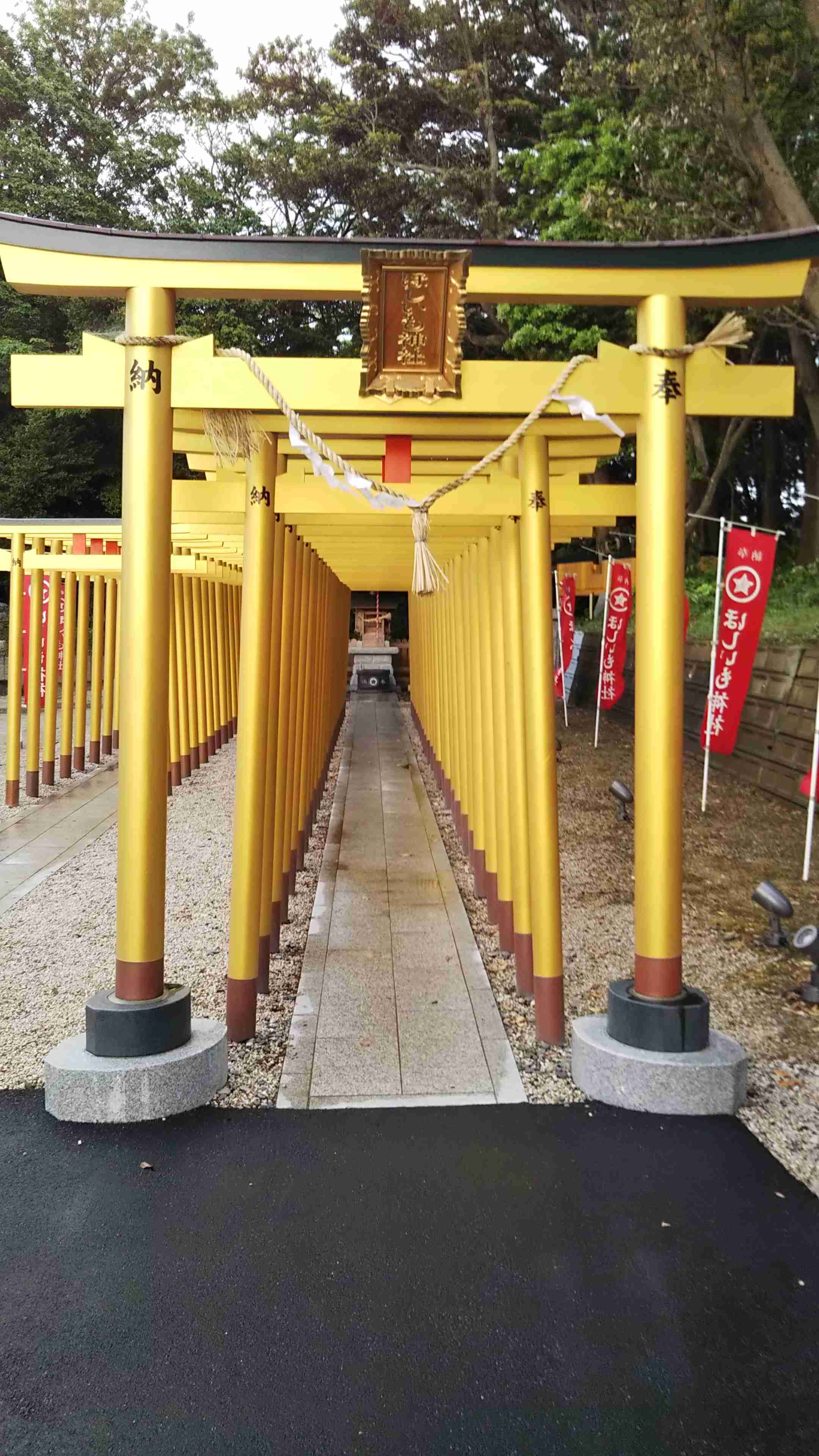 “干し芋”が令和のスイーツとしてブーム到来！10年で売り上げ2倍「さつまいもを作る畑が足りない」