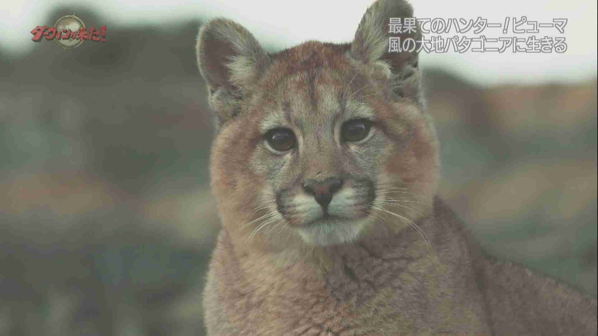 余計なお世話だから言わないけど心の中で思ってること