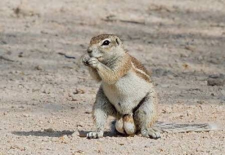 【電車】男性が股を広げて座ってるのが嫌な人〜【閉じろよ】