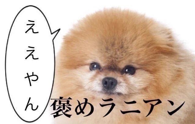 「ブスだと自覚も」37歳で恋人にフラれ垢抜け決意「13年間で自撮り3万枚」自分を研究し続けた女性の現在が「別人級の大変身」