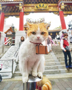 バッグの色について