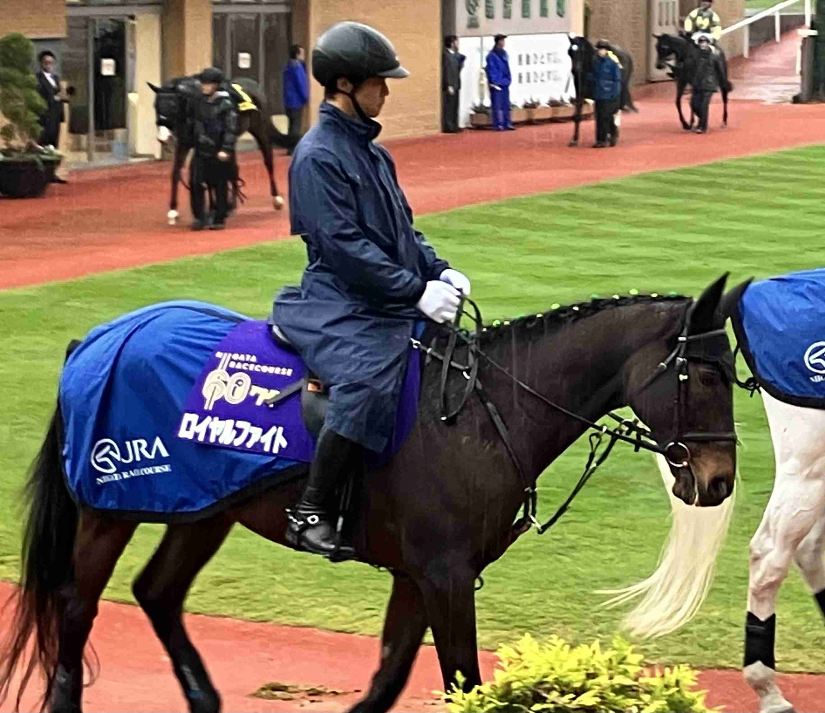 【実況・感想】日曜劇場「ザ・ロイヤルファミリー」第3話