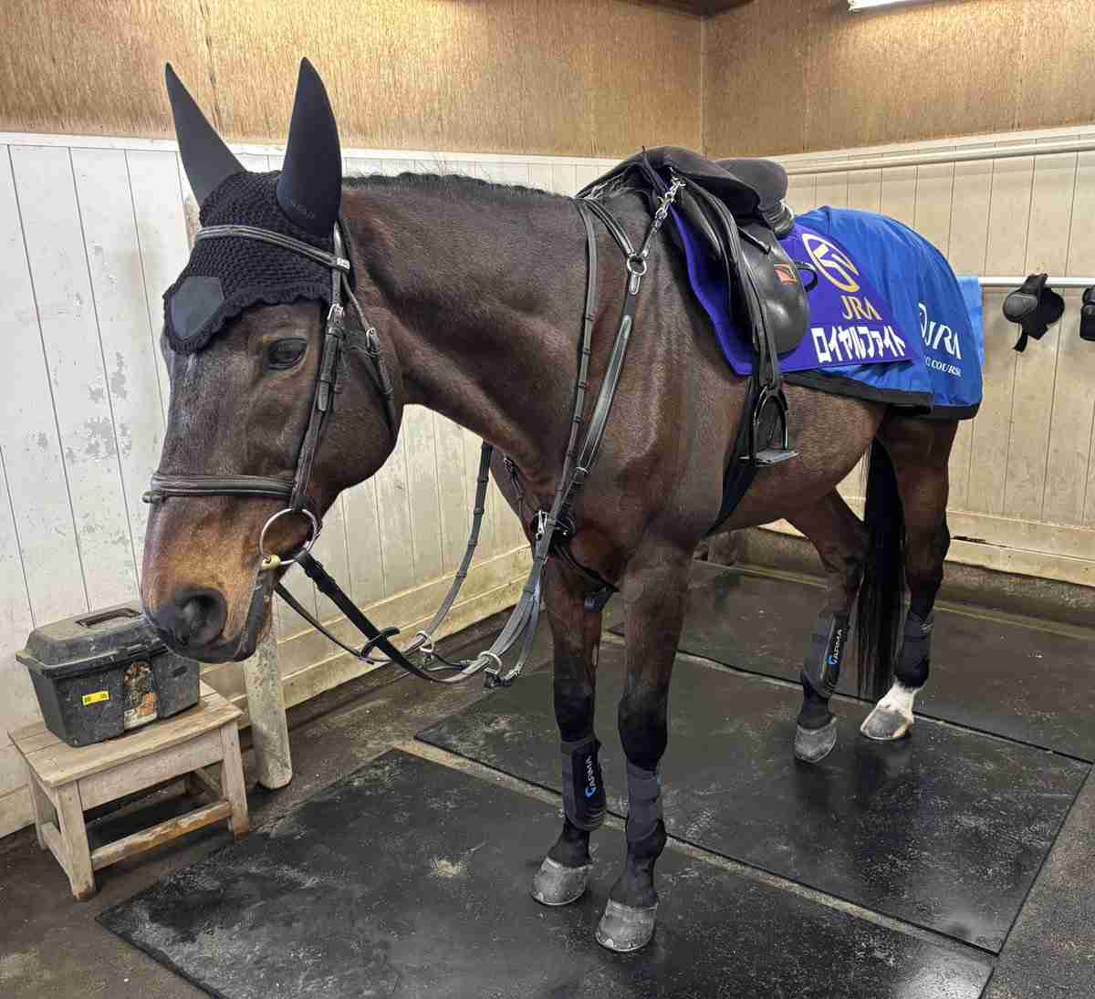 【実況・感想】日曜劇場「ザ・ロイヤルファミリー」第3話