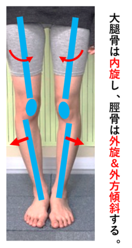 小学生の頃って足が速い男子がモテたのは何で？
