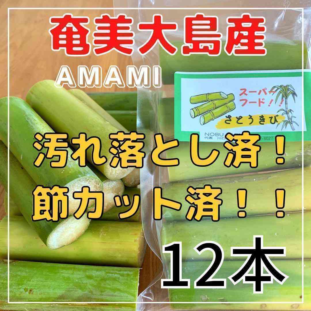 たった砂糖1gで0.02歳老化する!?「若返り」の秘密は食事にあり。「世界長寿サミット」から見えてきた老化予防のヒントとは【京都府立医科大学大学院教授が解説】