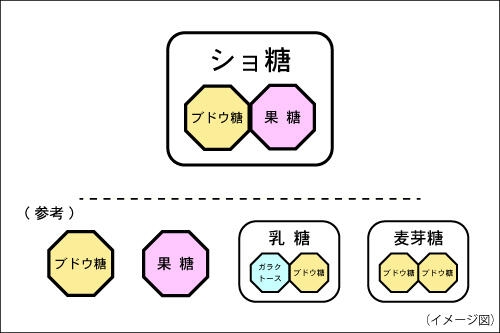 たった砂糖1gで0.02歳老化する!?「若返り」の秘密は食事にあり。「世界長寿サミット」から見えてきた老化予防のヒントとは【京都府立医科大学大学院教授が解説】