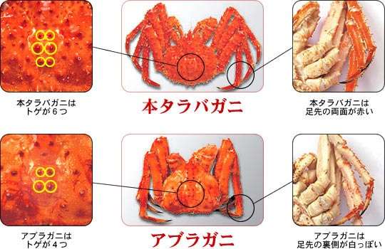 「へー」と思った役に立たない知識