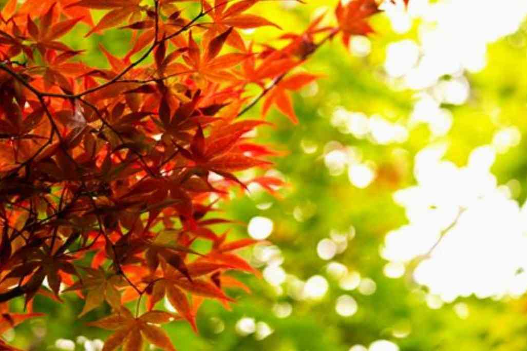 手紙が好き