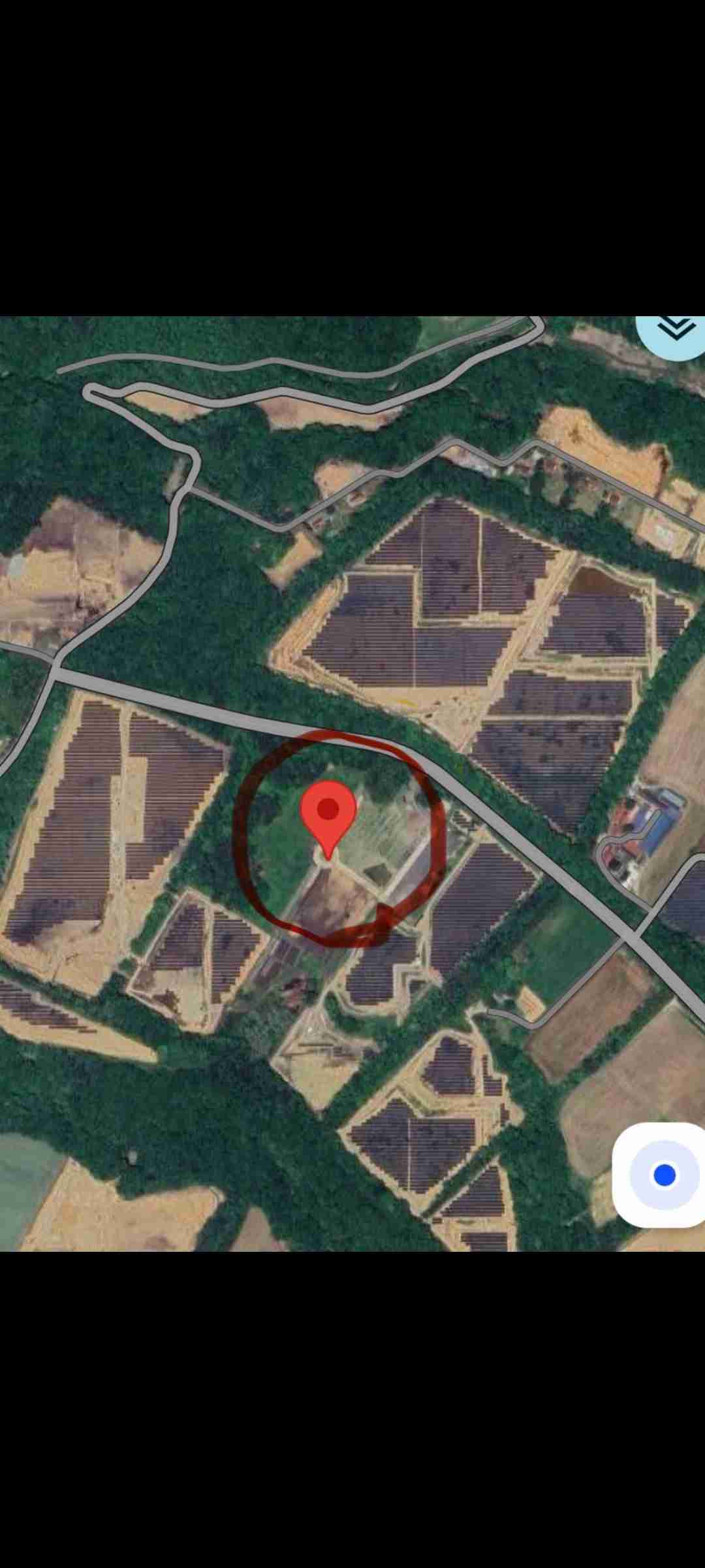 日テレ「DOWNTOWN+」への協力を発表 吉本に文春報道の説明求めず「その必要はないと思った」松本人志の地上波復帰は…