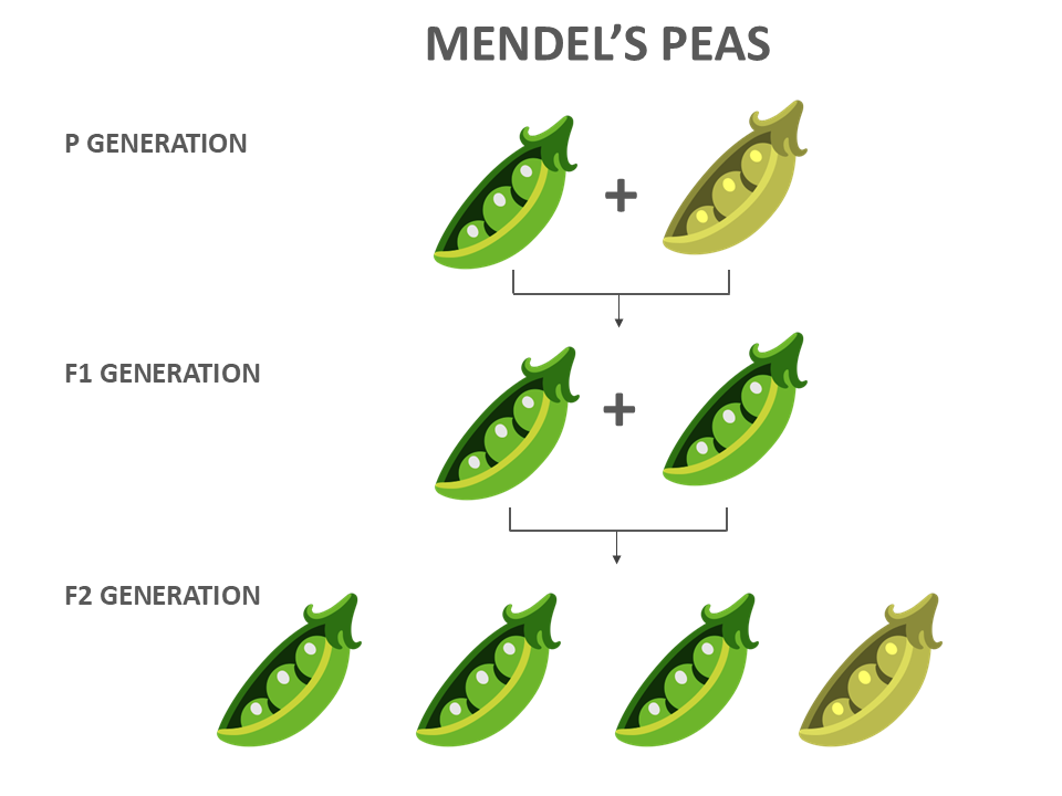 身長110cm車椅子の女性、「子どもを産むべきではない」心ない声を乗り越え叶えた“母になるという夢”