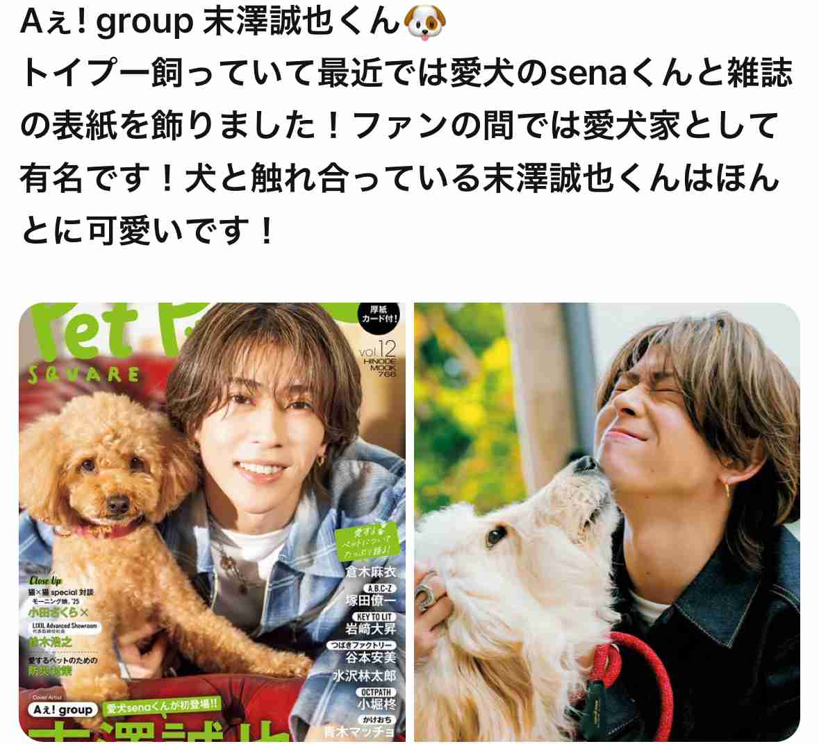 WEST.神山智洋結婚で「独り暮らしで犬飼ってるアイドル彼女いる説」支持者急増“推し”のペットにファン戦々恐々