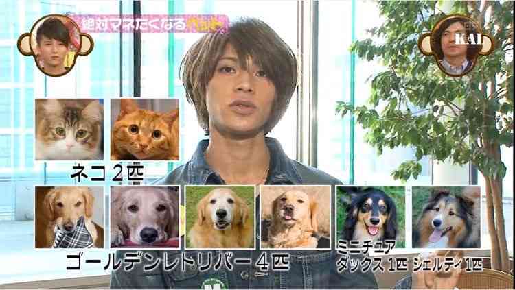 WEST.神山智洋結婚で「独り暮らしで犬飼ってるアイドル彼女いる説」支持者急増“推し”のペットにファン戦々恐々