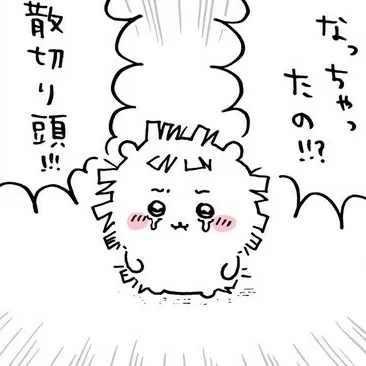 髪を伸ばし中のときにヘアカットする？