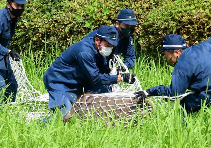 地域の人の憩いの場ってありますか？