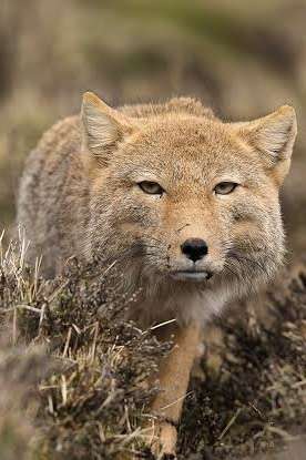 子供が『ブス』と言われた