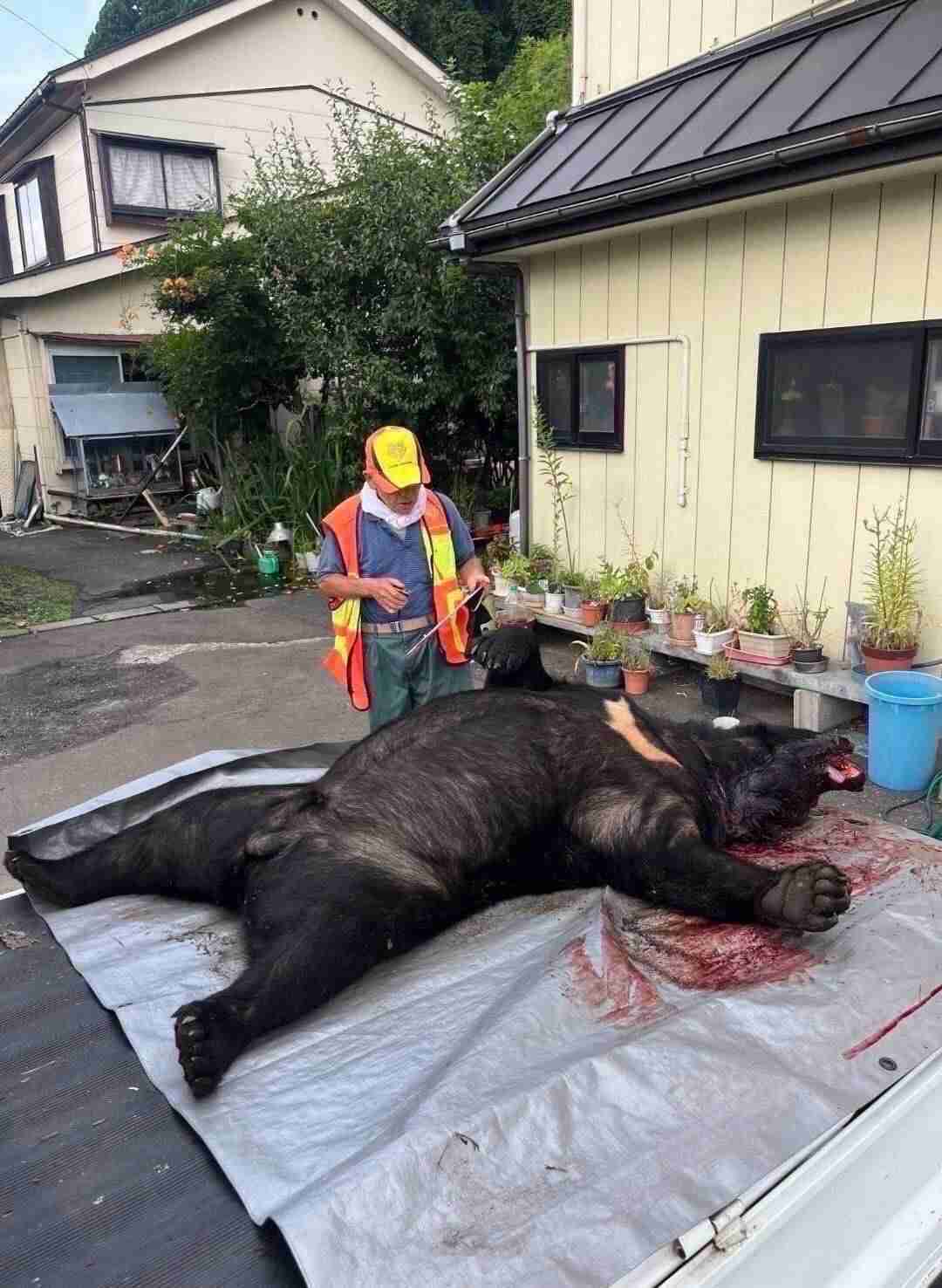 クマ被害か?温泉の清掃従業員行方不明 露天風呂入り口付近に血痕