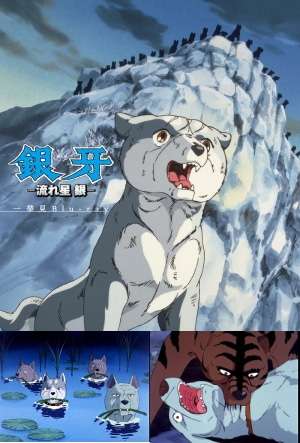 飼い犬が姿を消す　クマに襲われたか　リードや首輪残され山中にクマの足跡　岩手県住田町