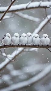 【癒し】モフモフ