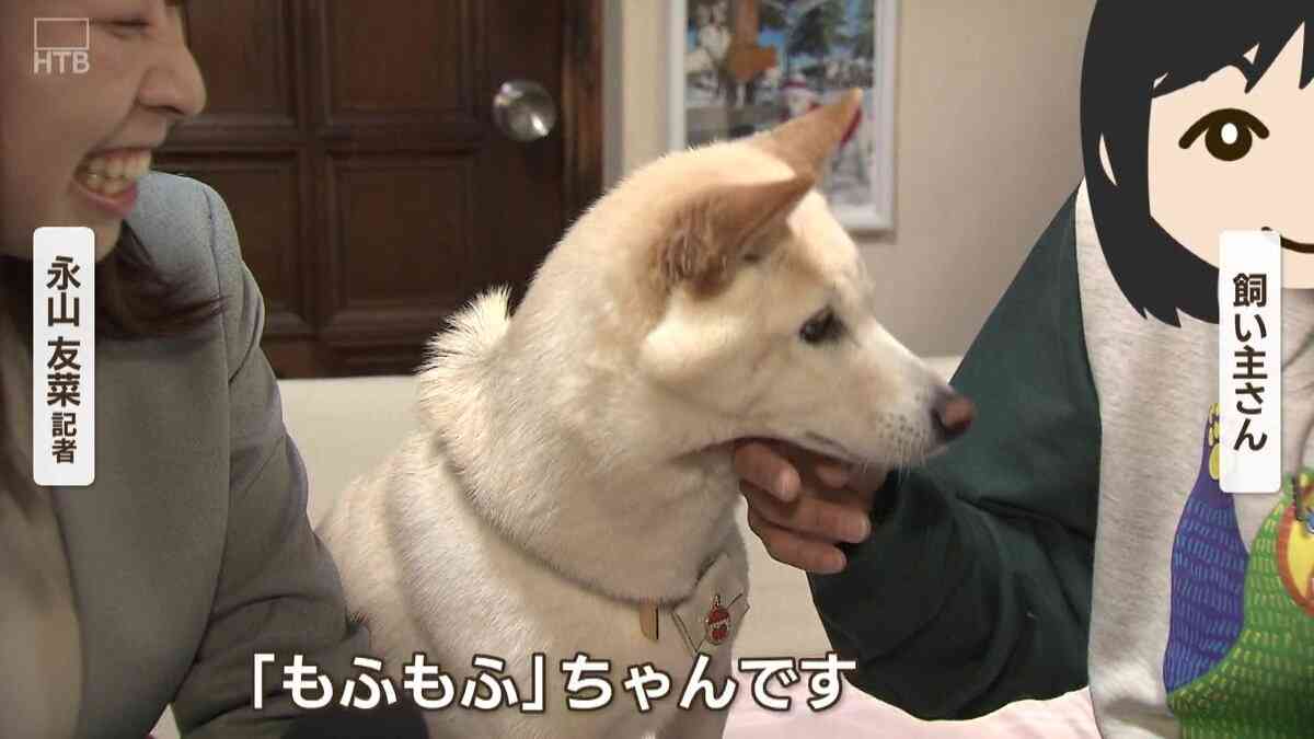 【癒し】モフモフ