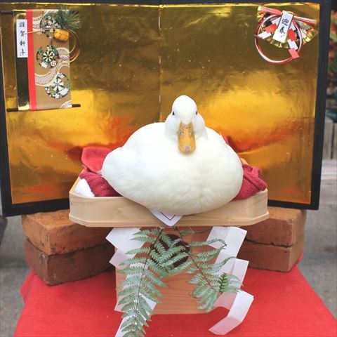 【癒し】モフモフ