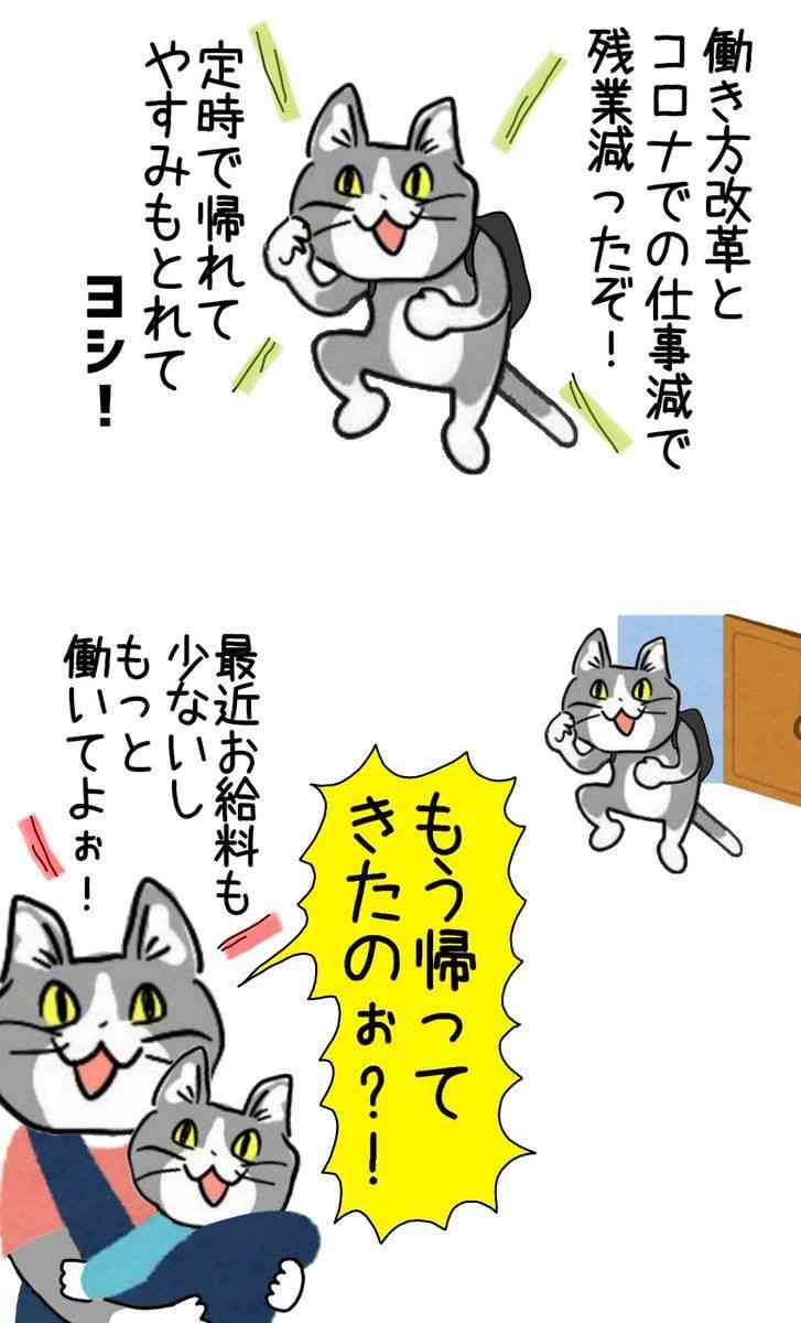 現場猫を見て癒されたい!Part9