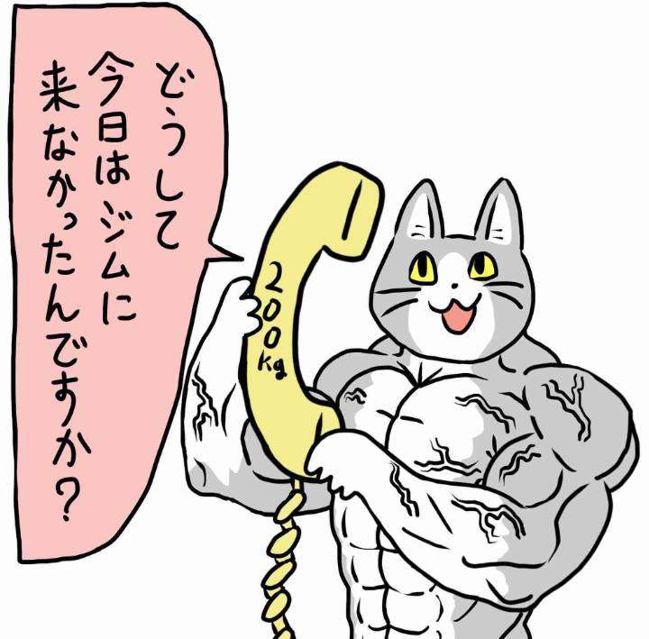 現場猫を見て癒されたい!Part9