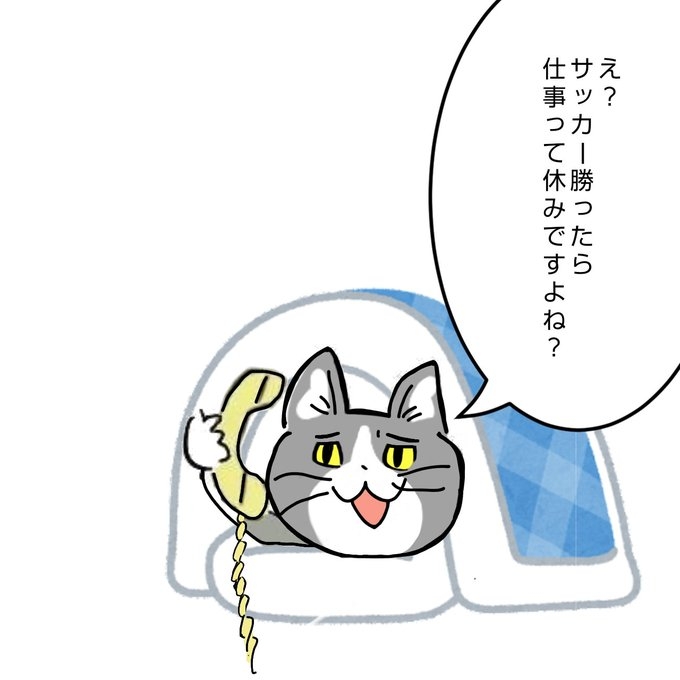 現場猫を見て癒されたい!Part9