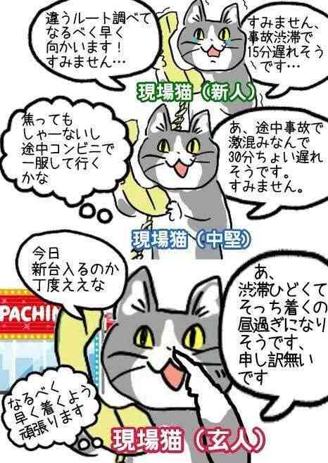 現場猫を見て癒されたい!Part9