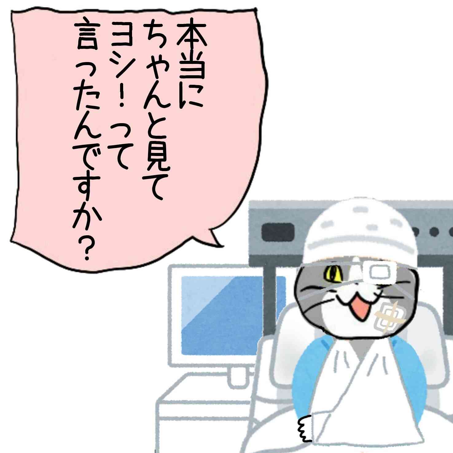 現場猫を見て癒されたい!Part9