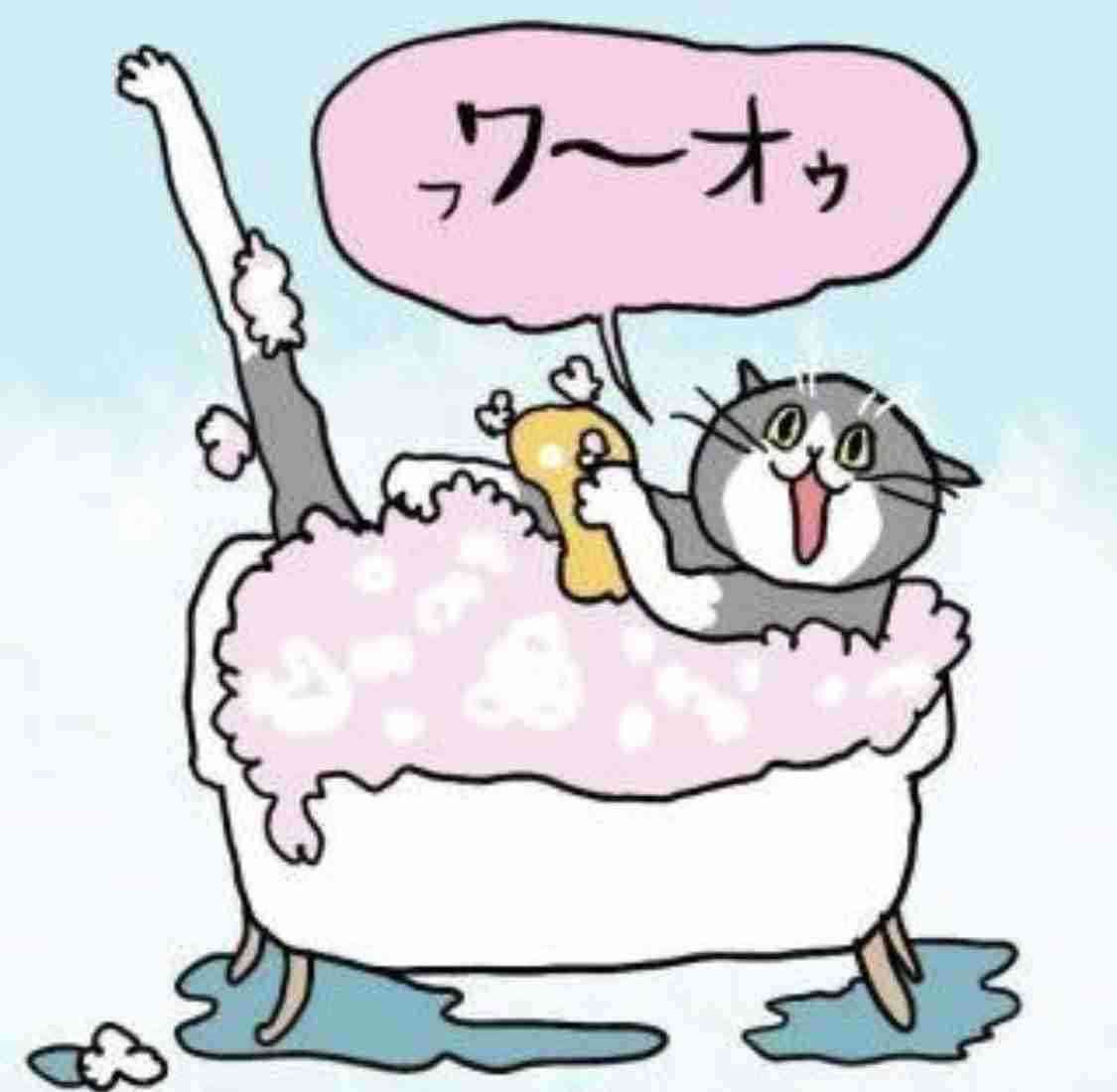 現場猫を見て癒されたい!Part9