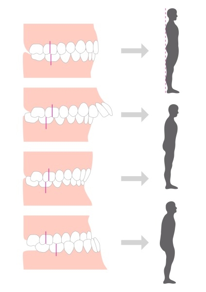 苦労してないから若く見えるって本当？