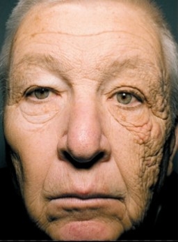 苦労してないから若く見えるって本当？