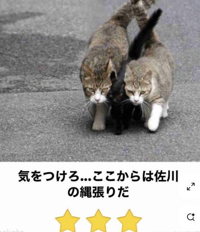 boketeで1000コメ以上を目指そう〜 part14〜