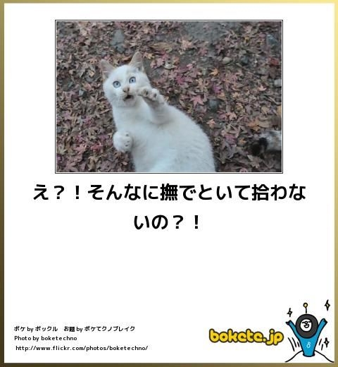 boketeで1000コメ以上を目指そう〜 part14〜