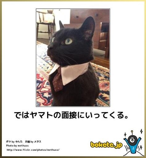 boketeで1000コメ以上を目指そう〜 part14〜